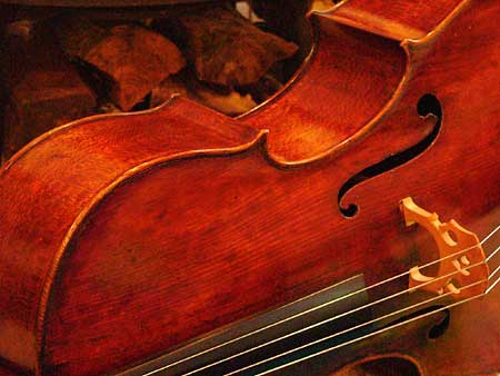 Mycello